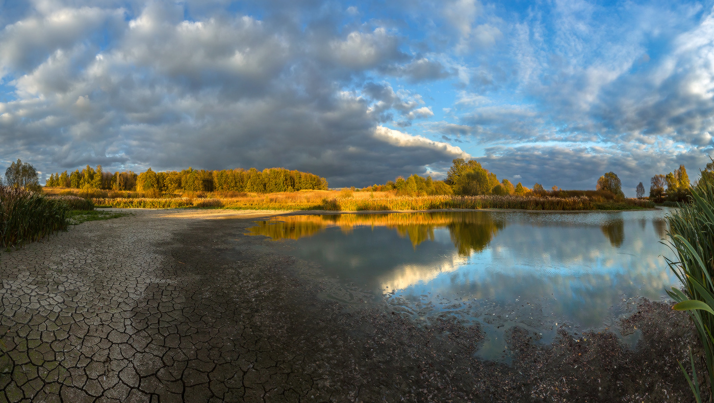 Жажда осенних дождей