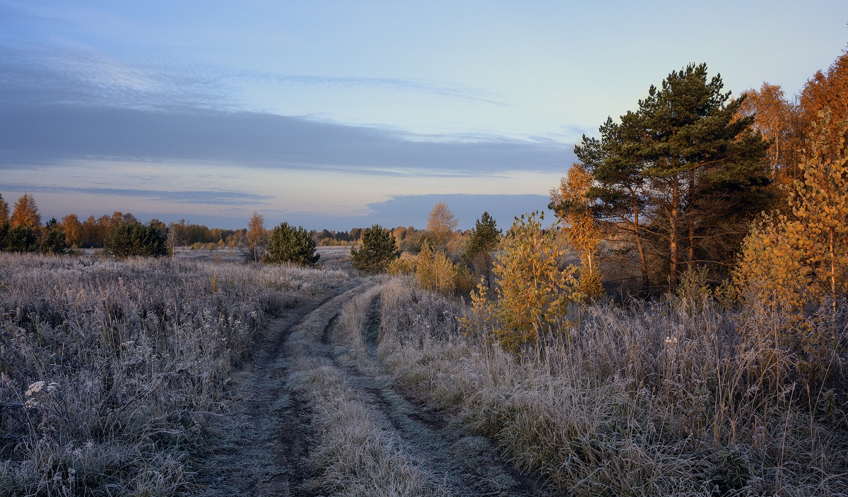 По хрустящей траве.