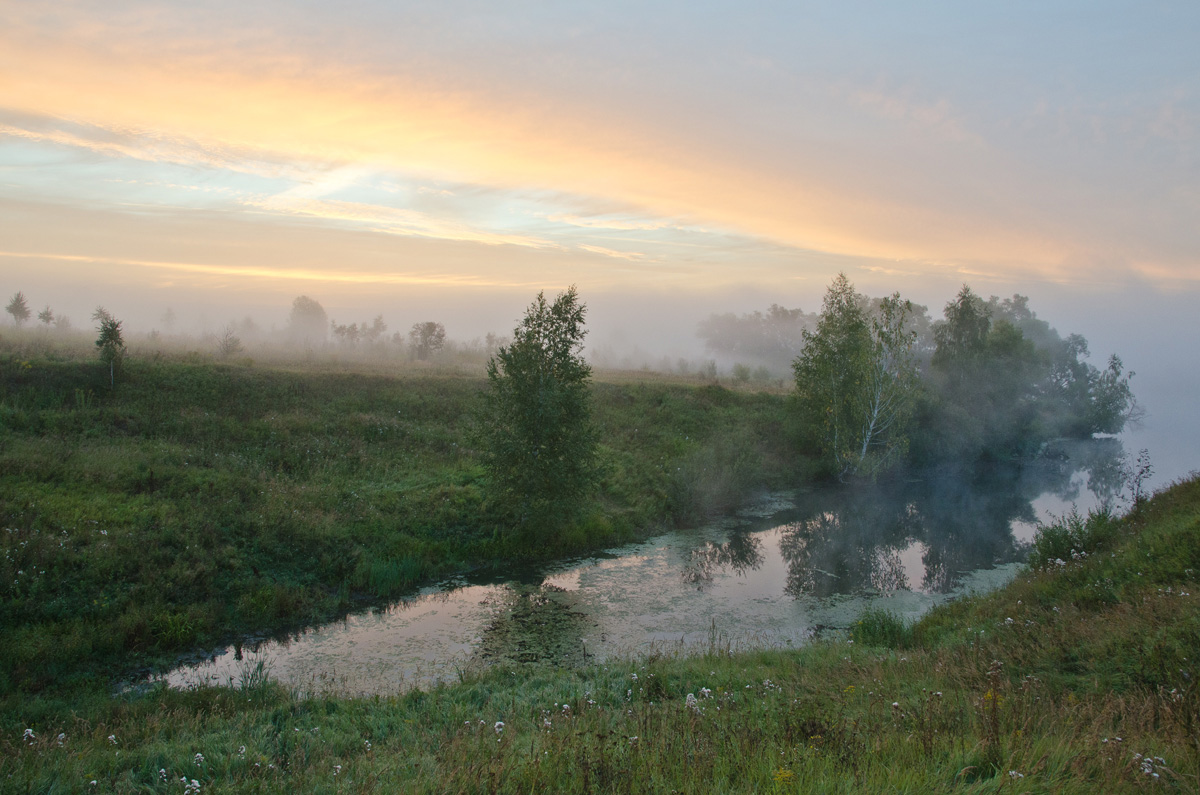 Ротанья заводь