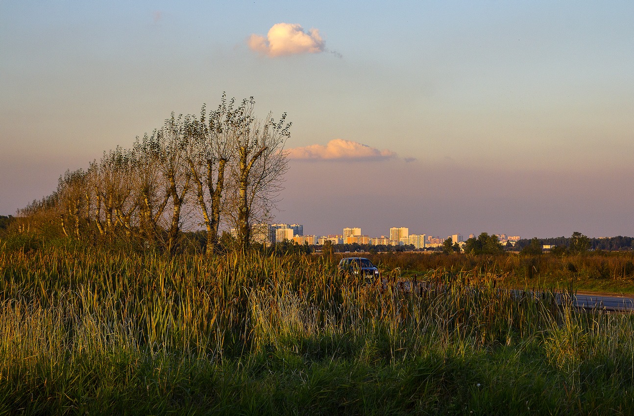 Новая Москва
