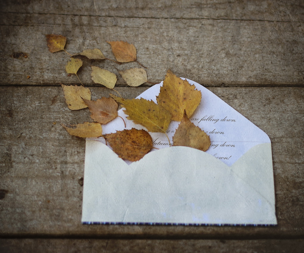 Письма ноября...