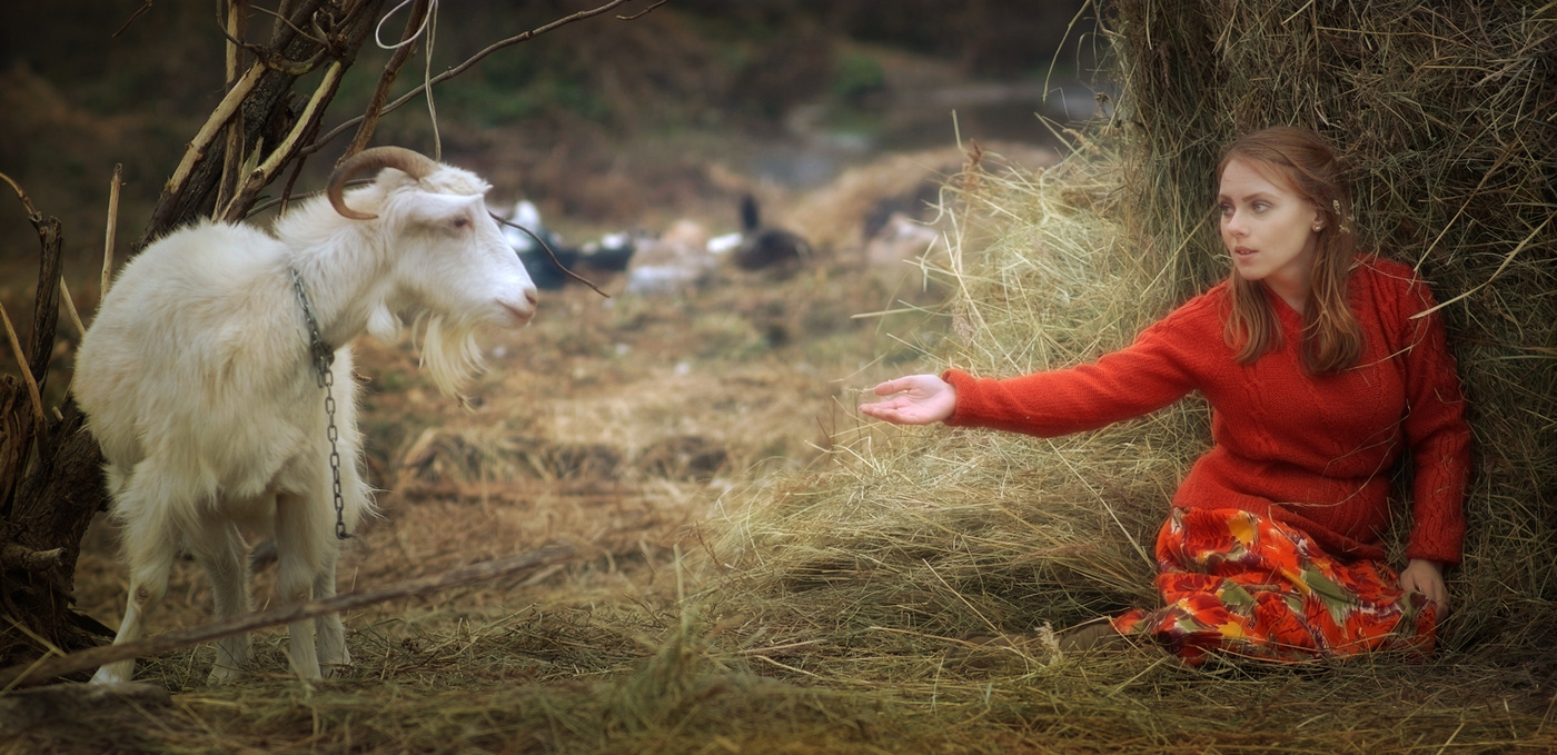 Саша и козлы....