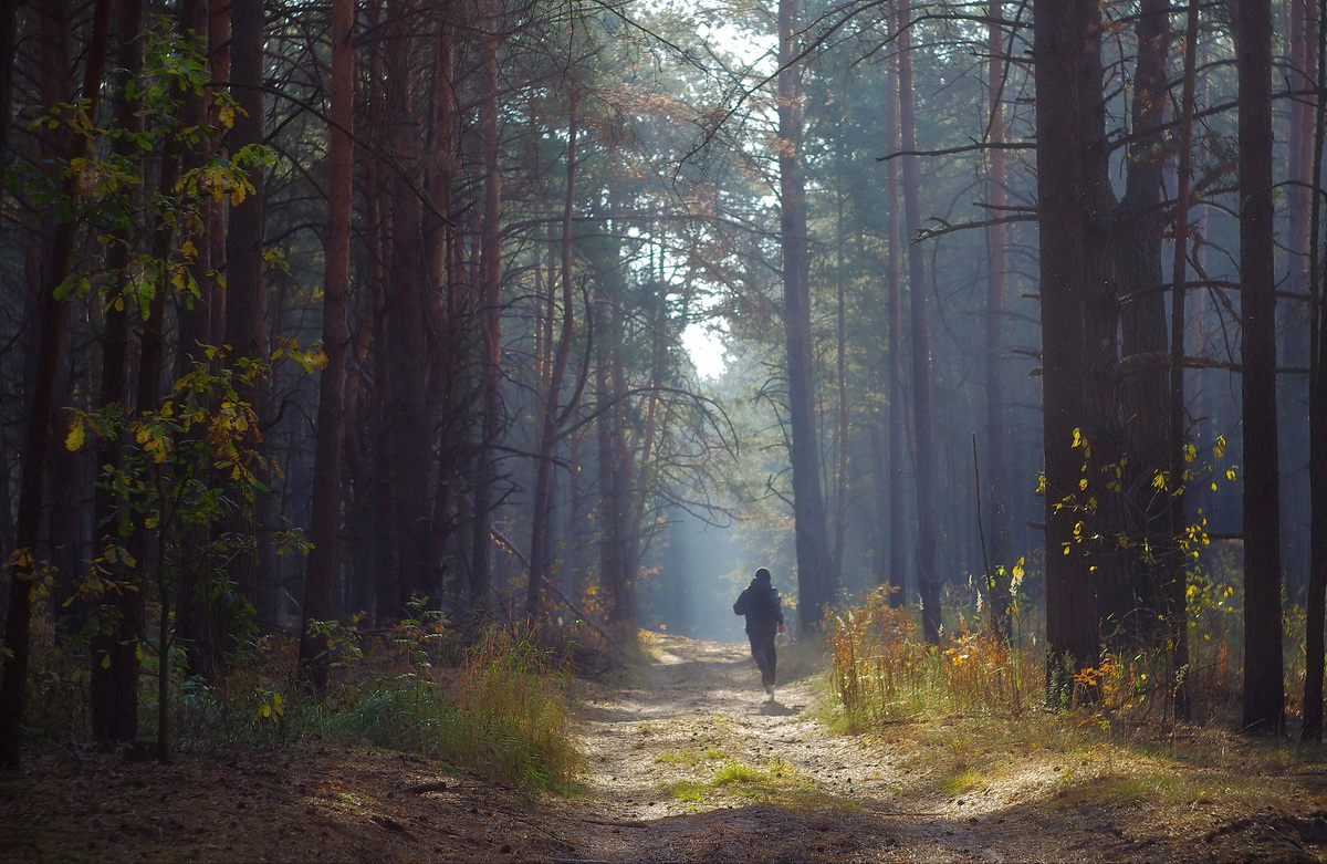 Осенний марафон