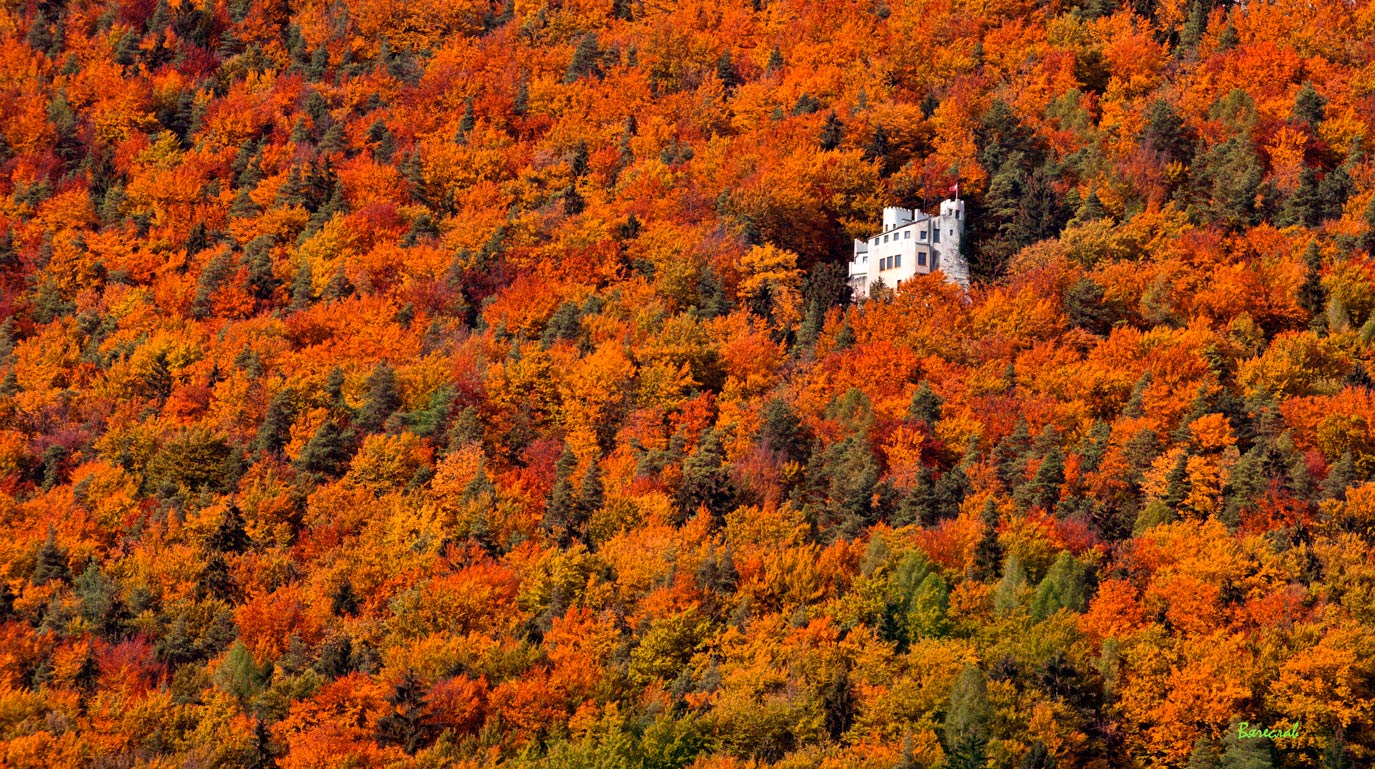 Осенний марафон