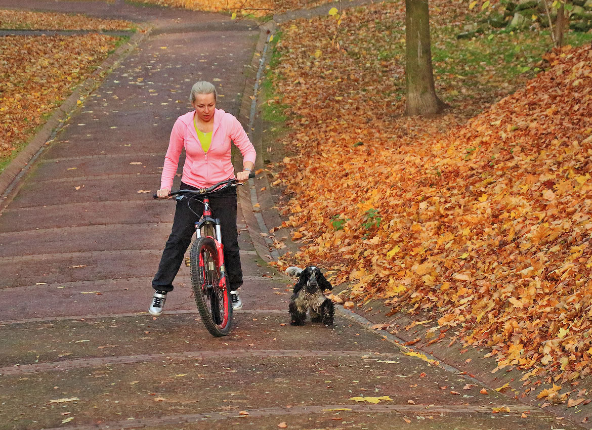 Осенний марафон