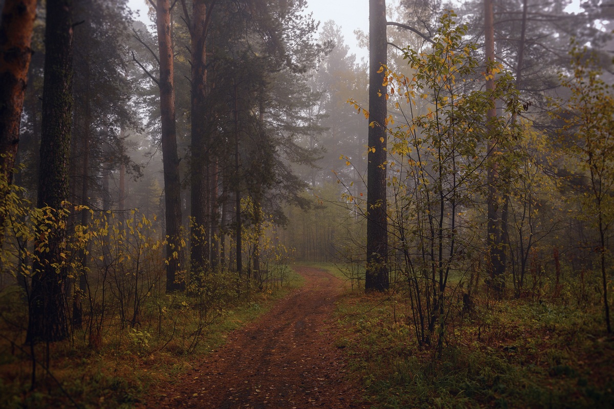 Осенний марафон