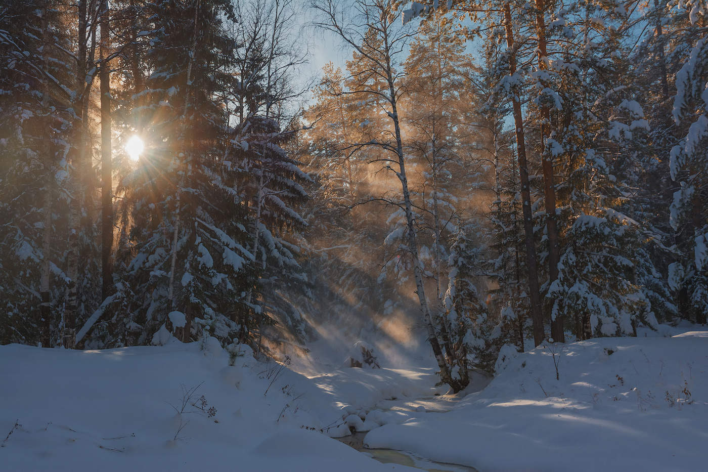 Зима пришла