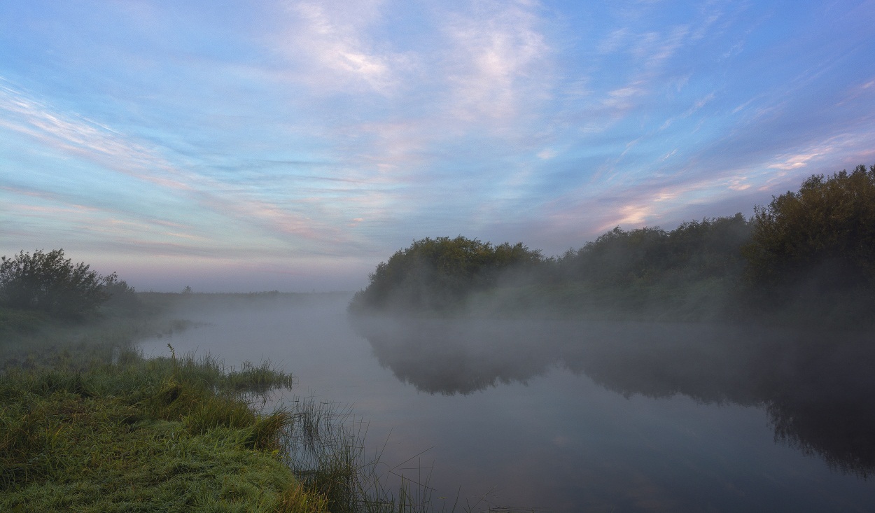 Летним утром.