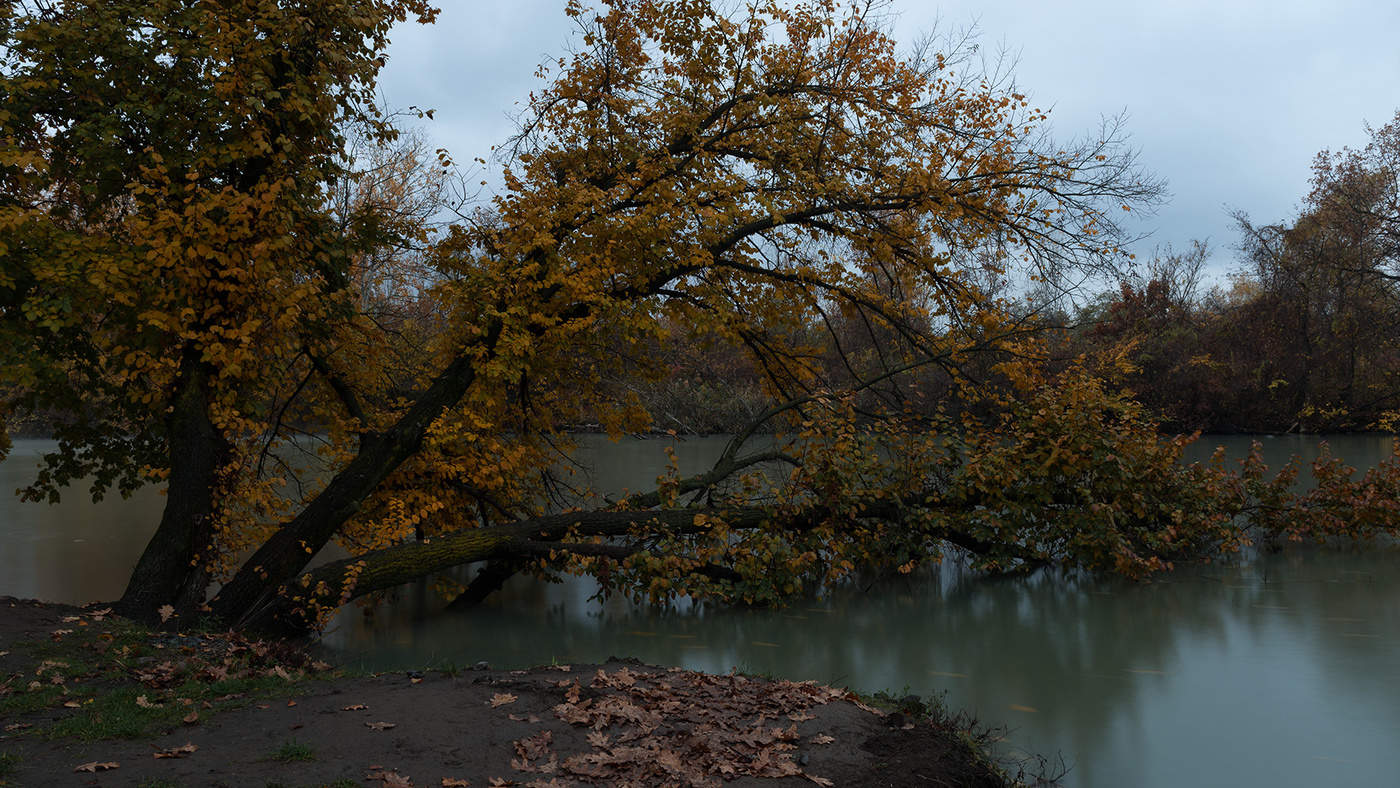 Утонуть в осени