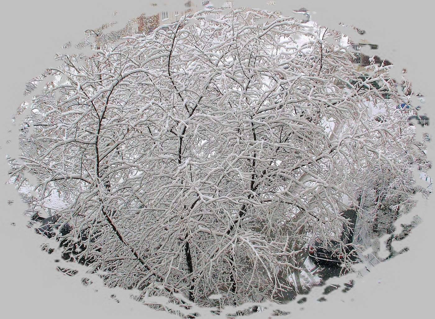 Снежная вуаль