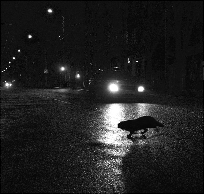 Вдоль и поперёк