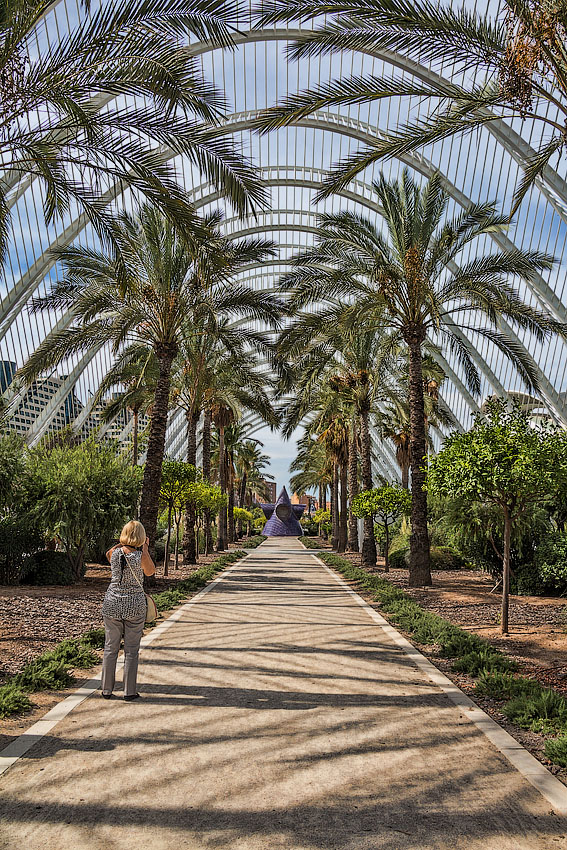 Вдоль и поперёк