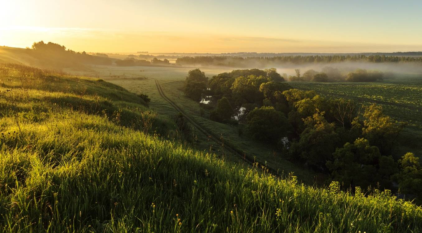 Проникновение...