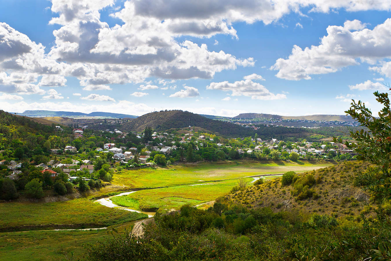 Пойменный луг.