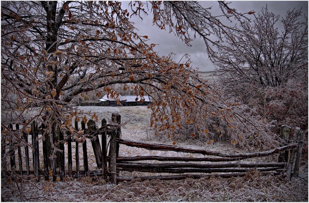 Ирреальность