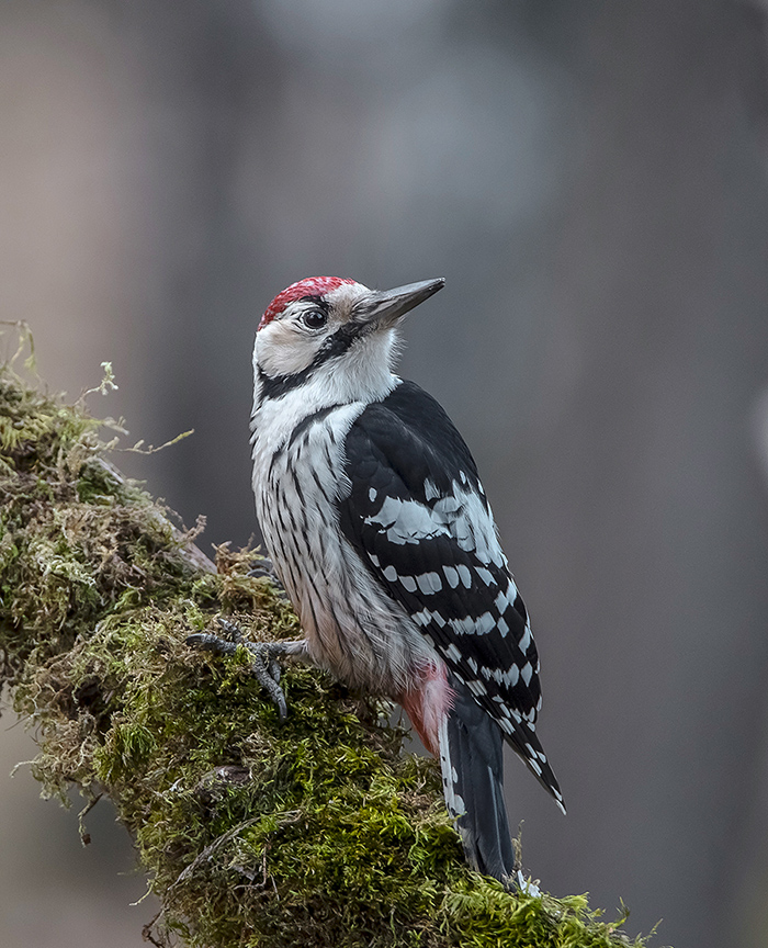 Это вы меня окликнули?