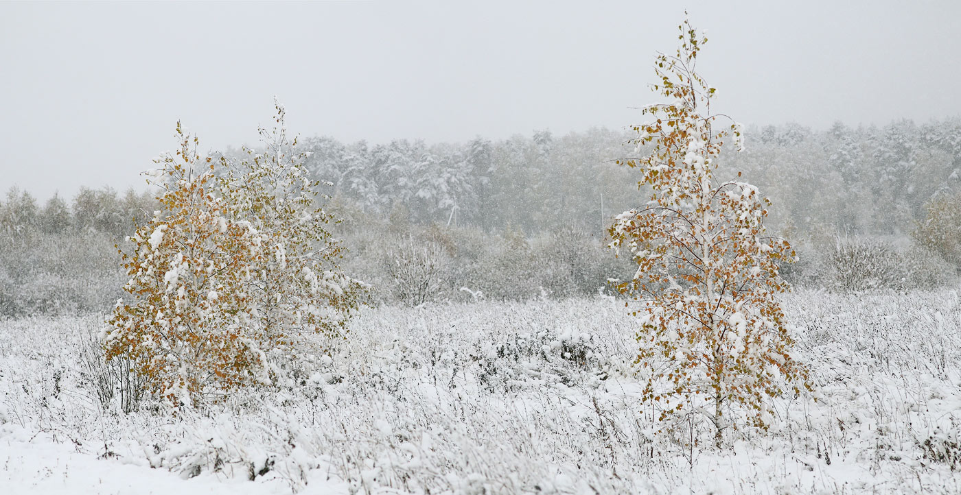 У природы нет плохой...