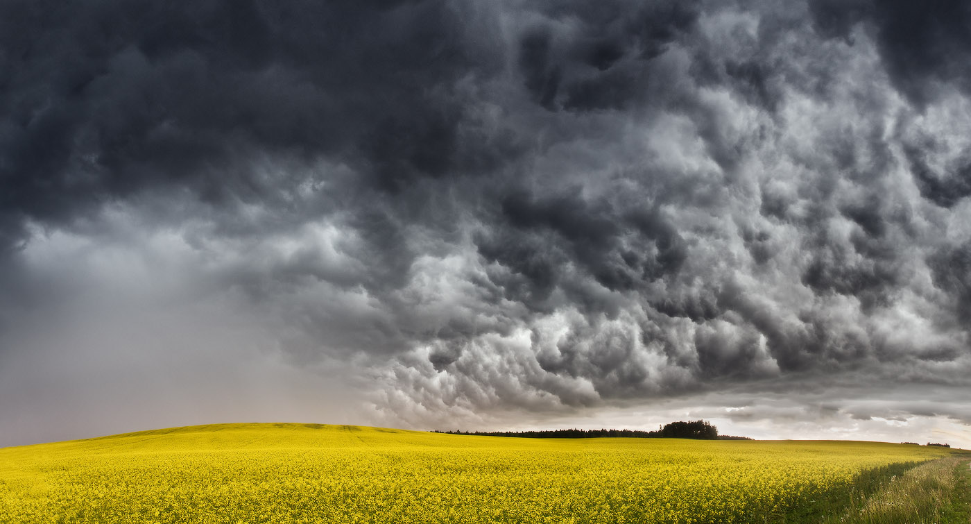 У природы нет плохой погоды