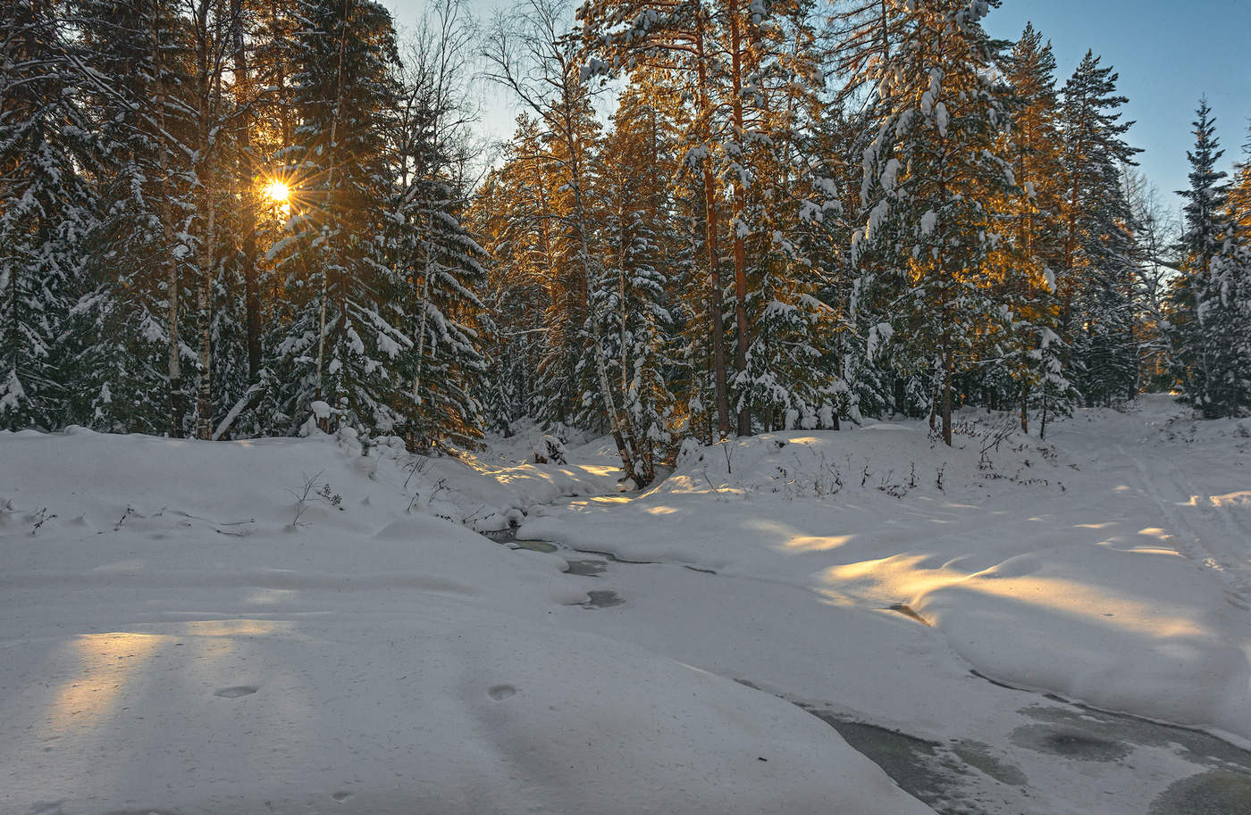 Вечерние тени