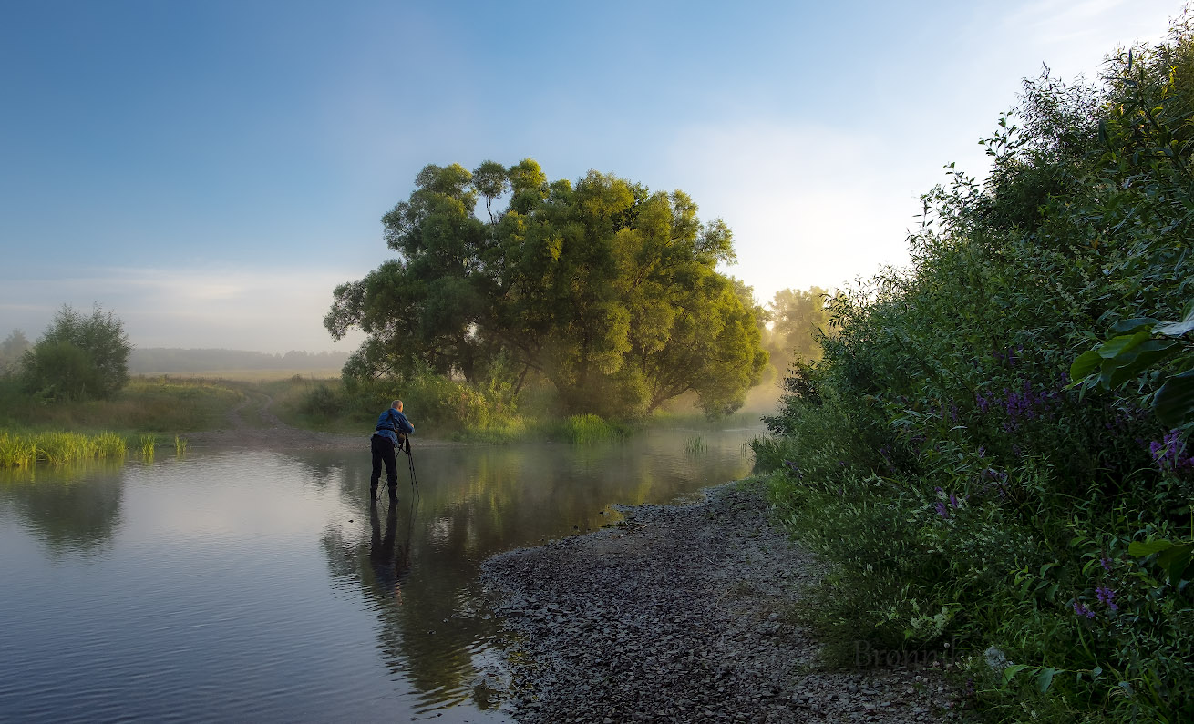 Рассвет,туман