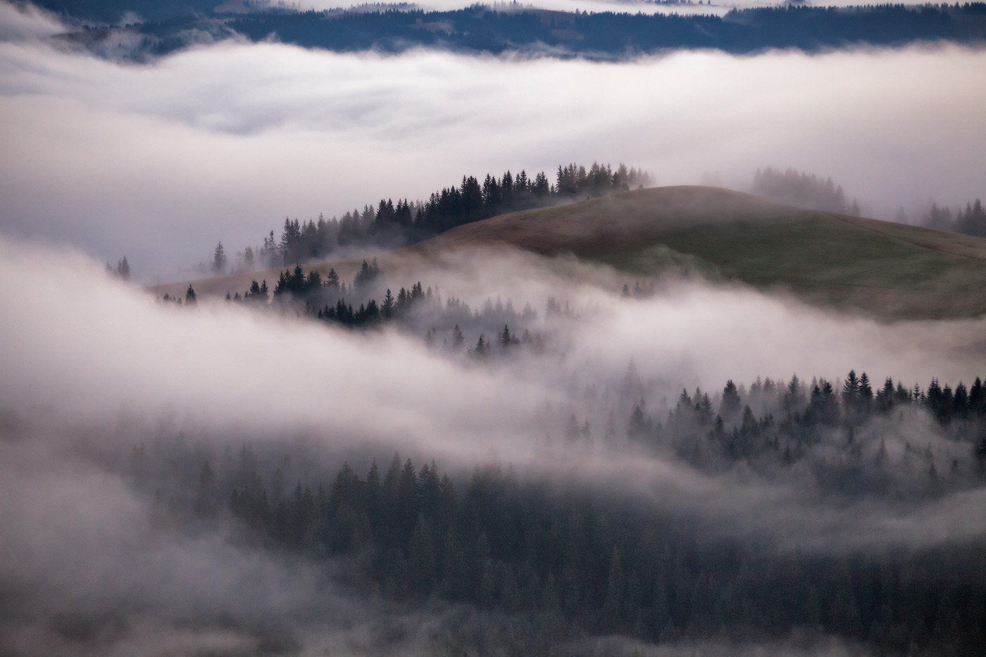 Осенние туманы