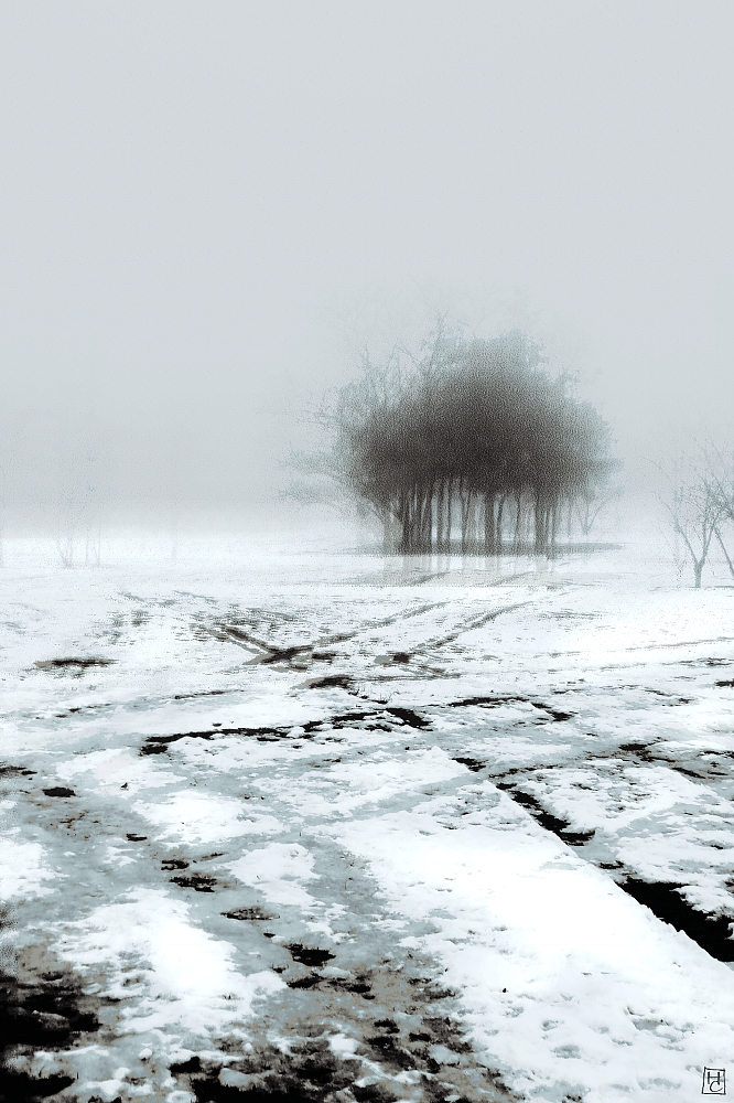 Линии судьбы