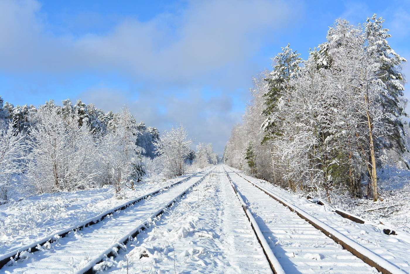 Линии судьбы