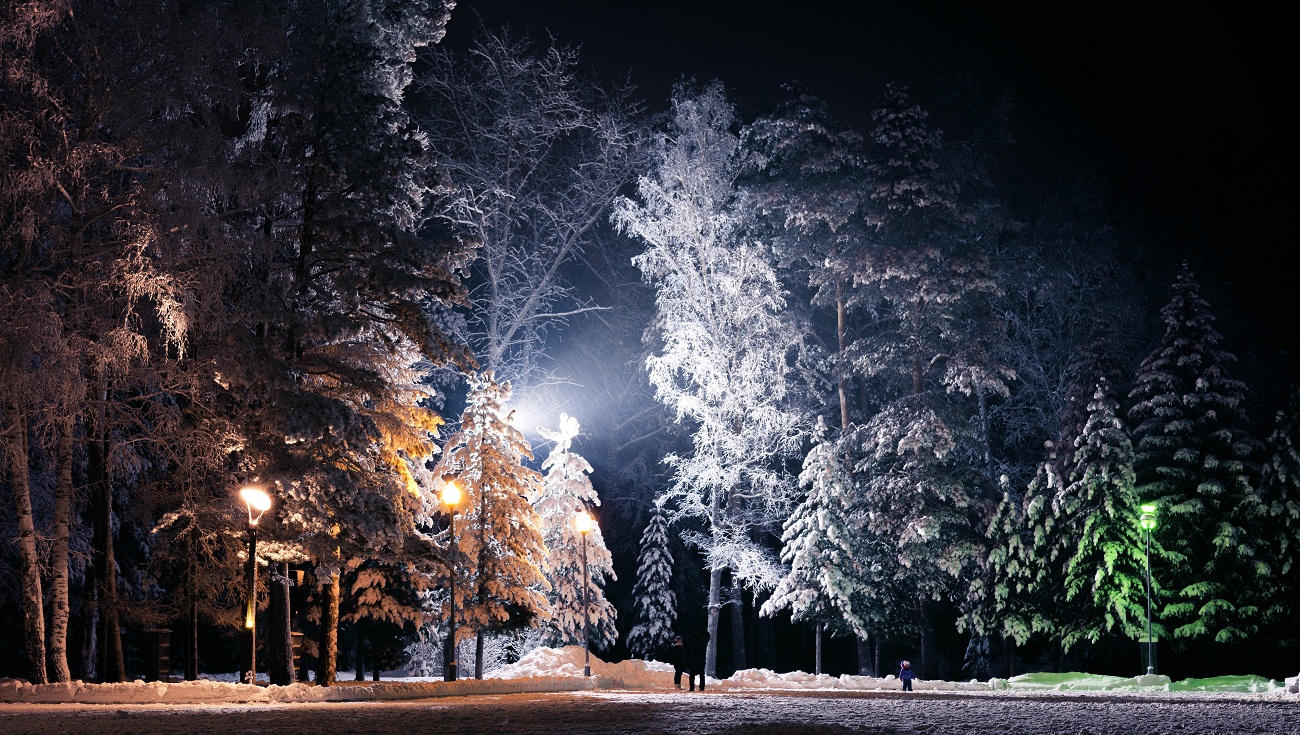 Вечер для прогулок.