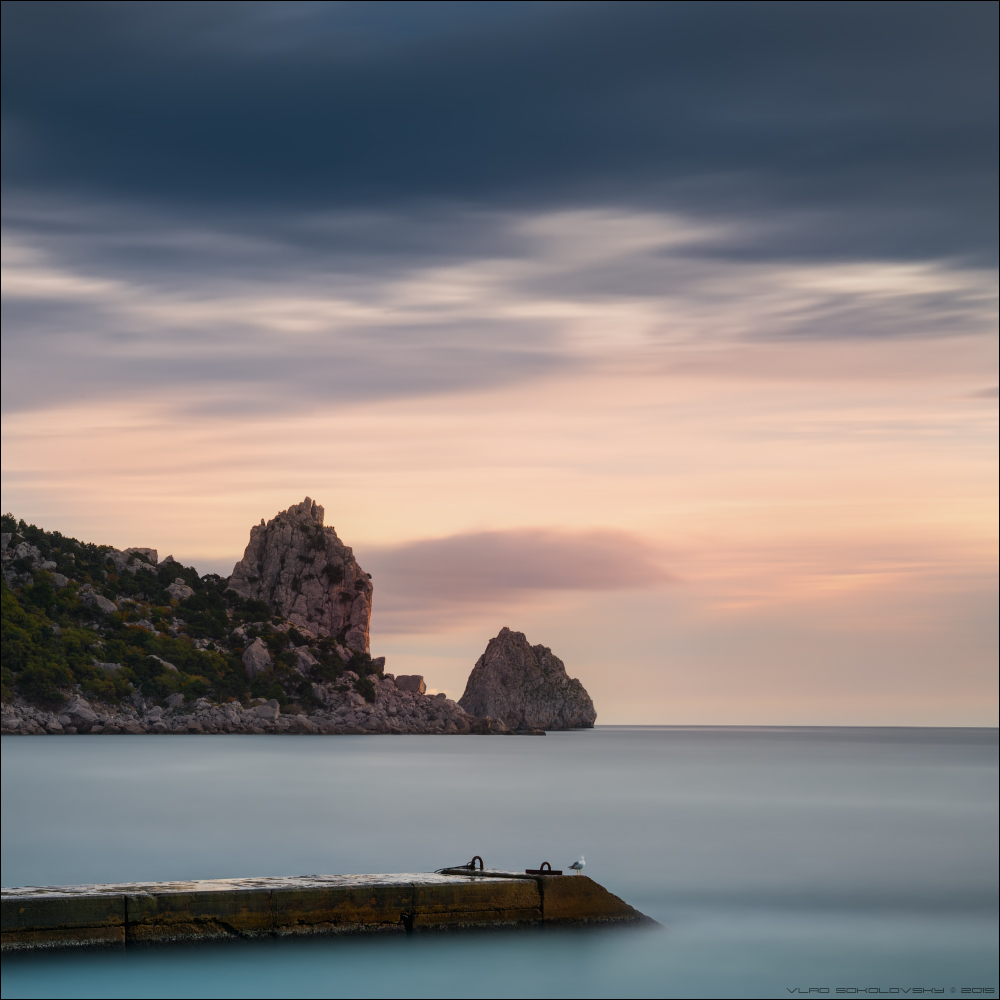 / Пейзаж с чайкой /