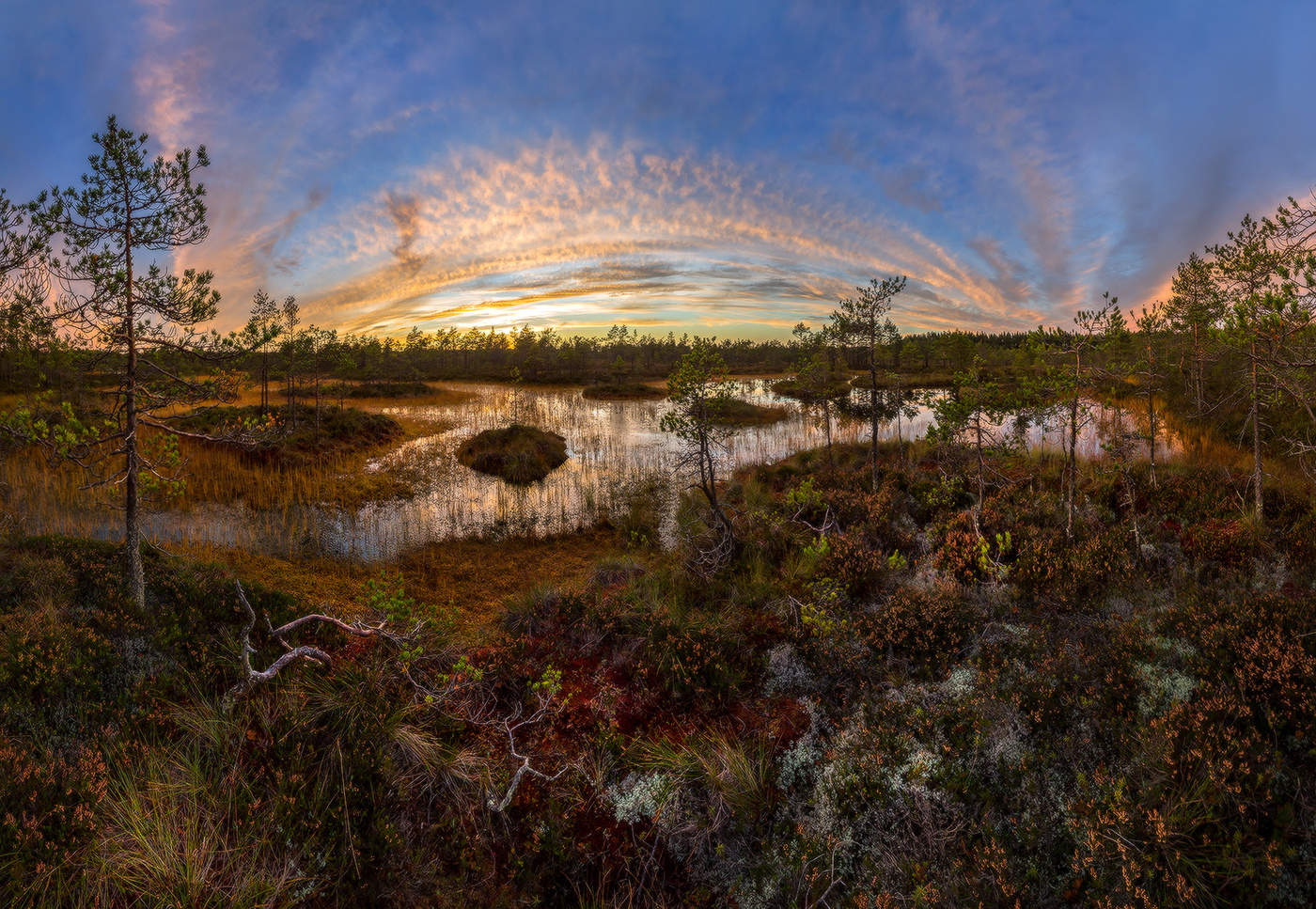 Осенний ковёр.