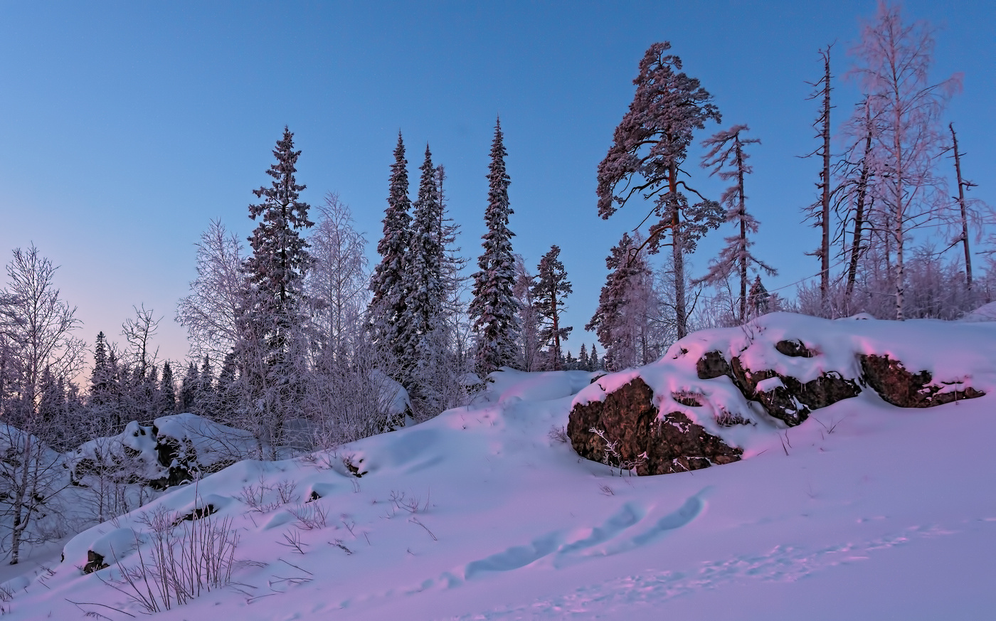 Розовое утро