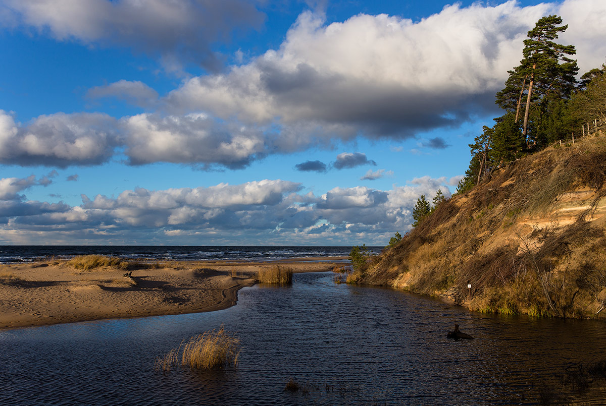 Ветер с запада