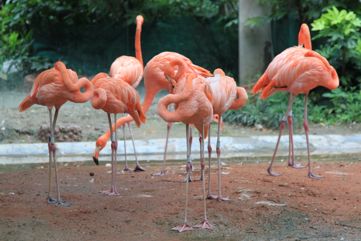 Вечерний моцион