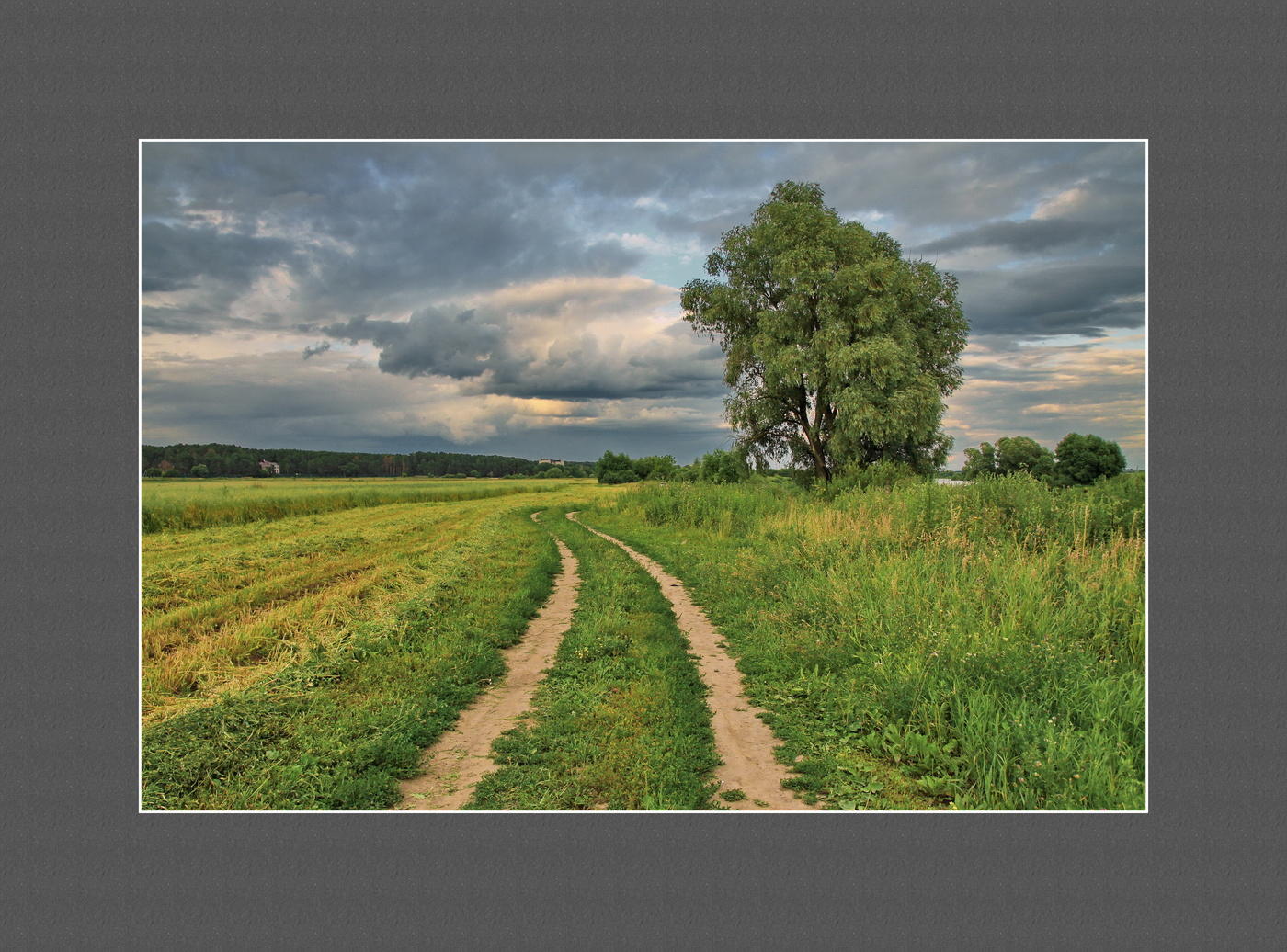 пригородный пейзаж