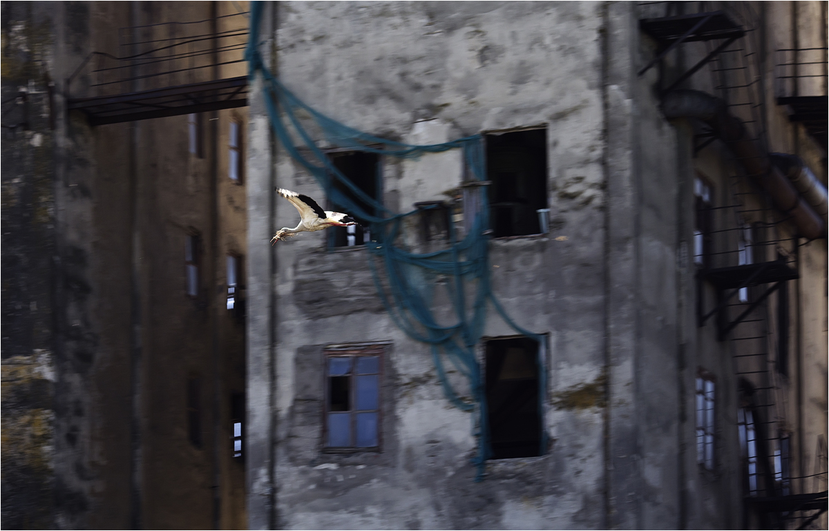 Весенние хлопоты...