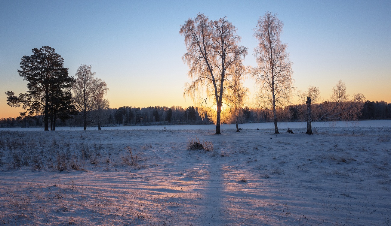 Цветная зима!