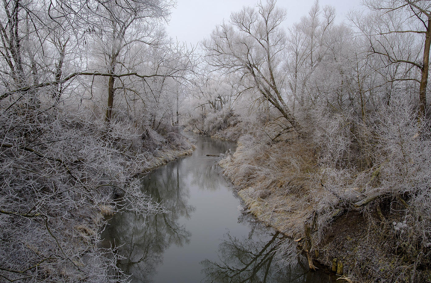 Утром слегка подморозило