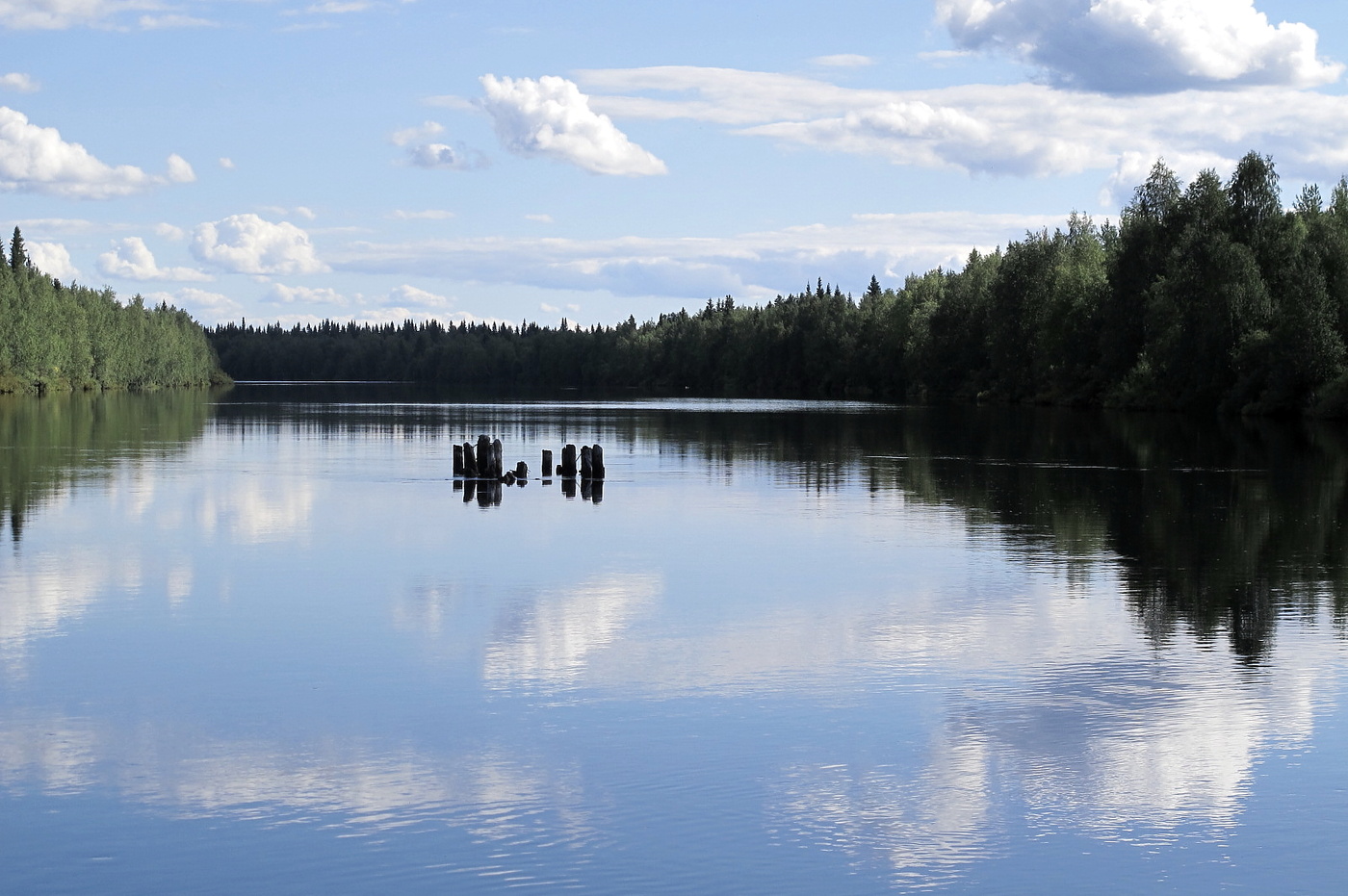 И под синью медвежии лапы озёр