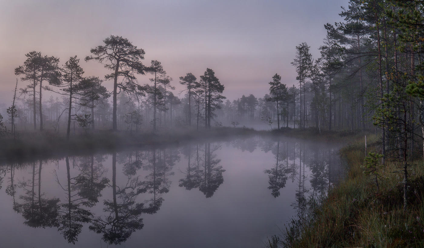 Беззвучно стелется туман.