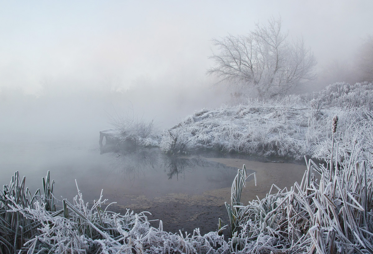 Белое безмолвие