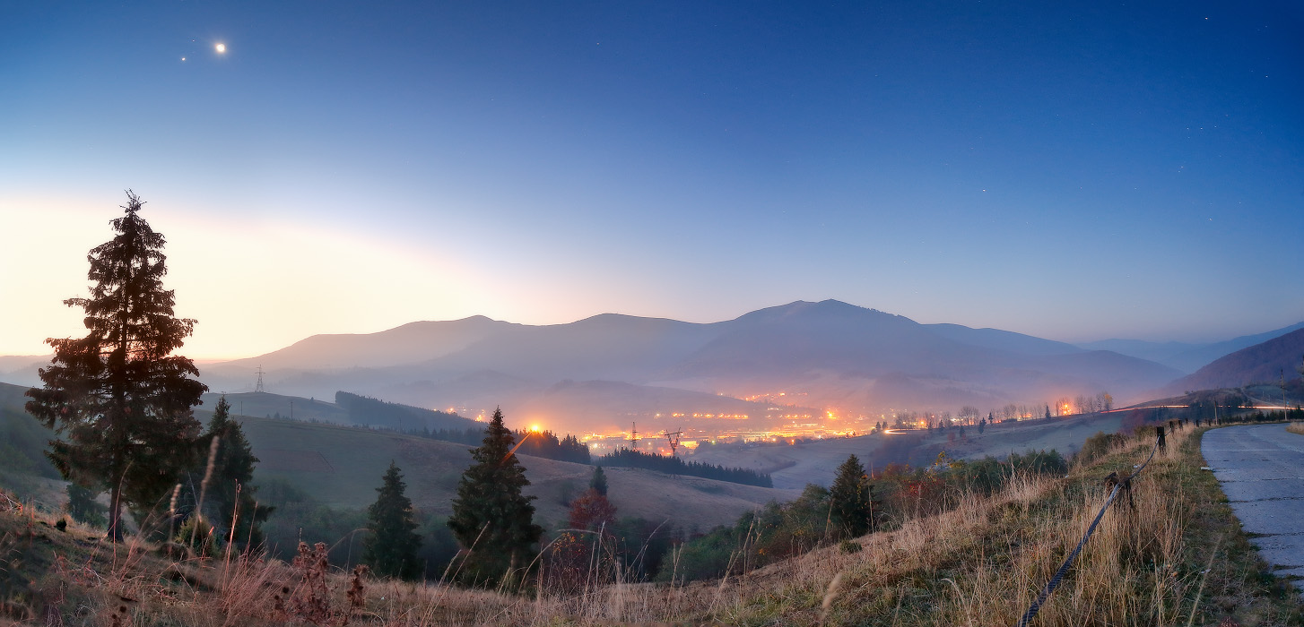 Воловец предрассветный
