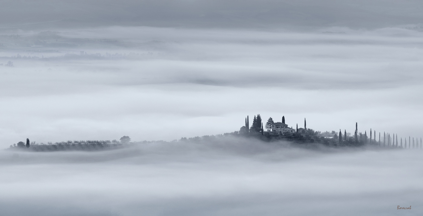 Белые туманы