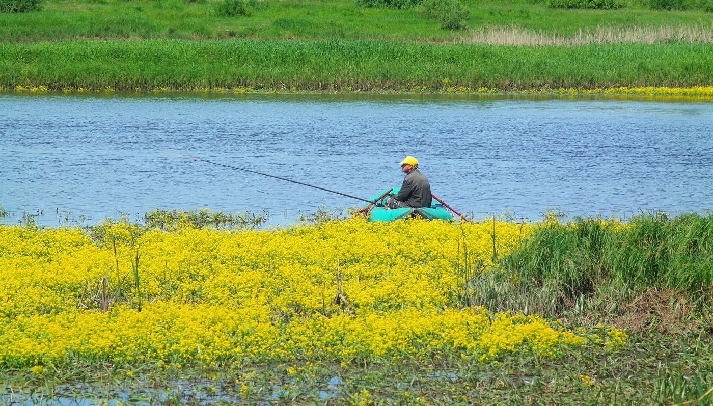 Не нужны,мне ваши айфоны...