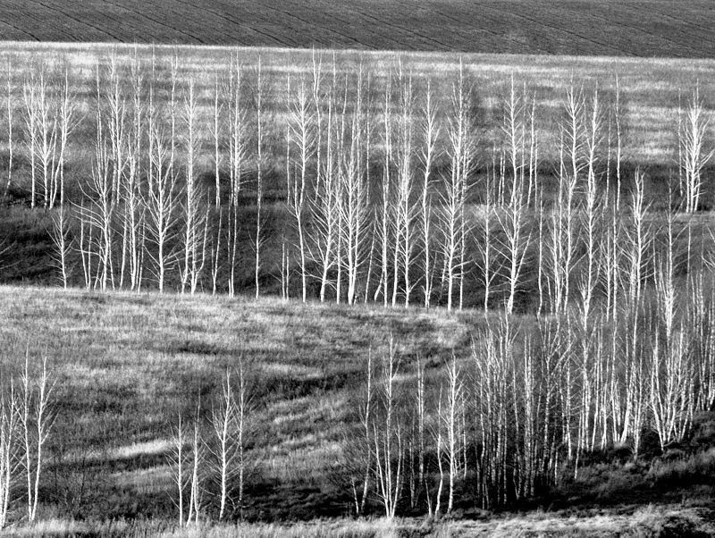 Неочевидная связь