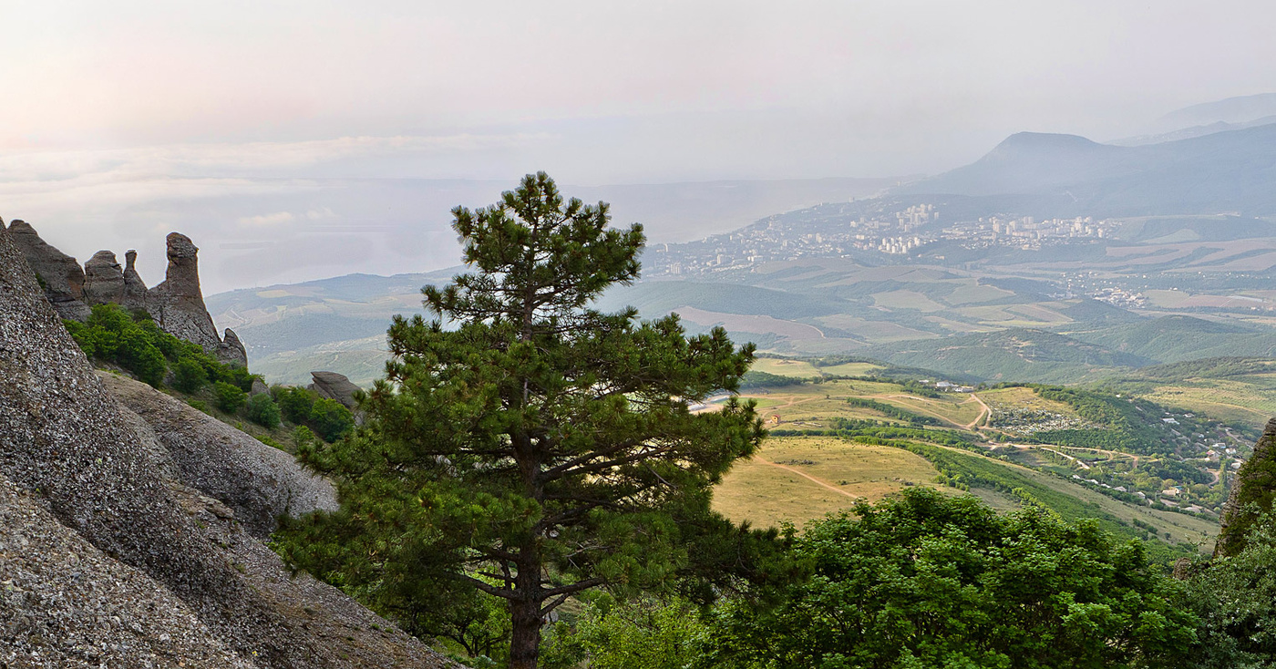 Берег моря.