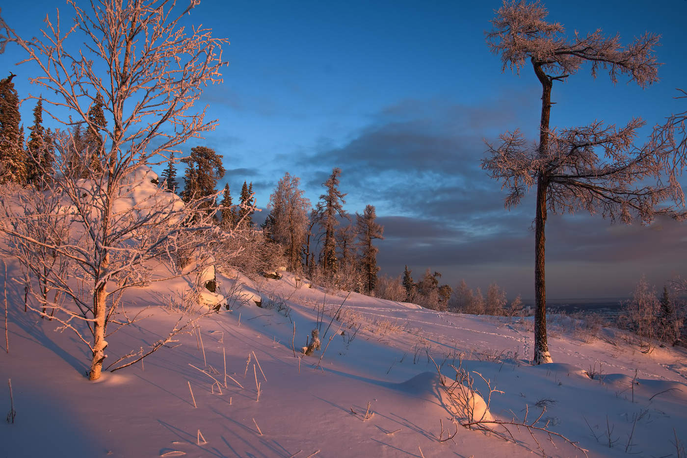 Утро на вершине
