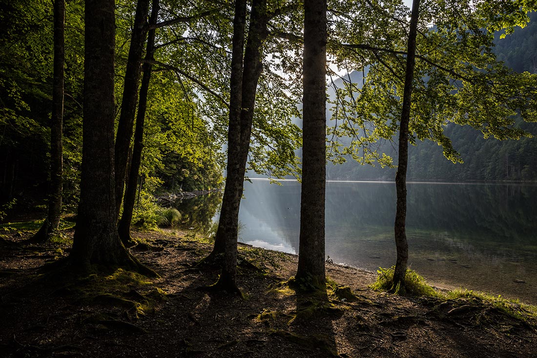 Доброе утро