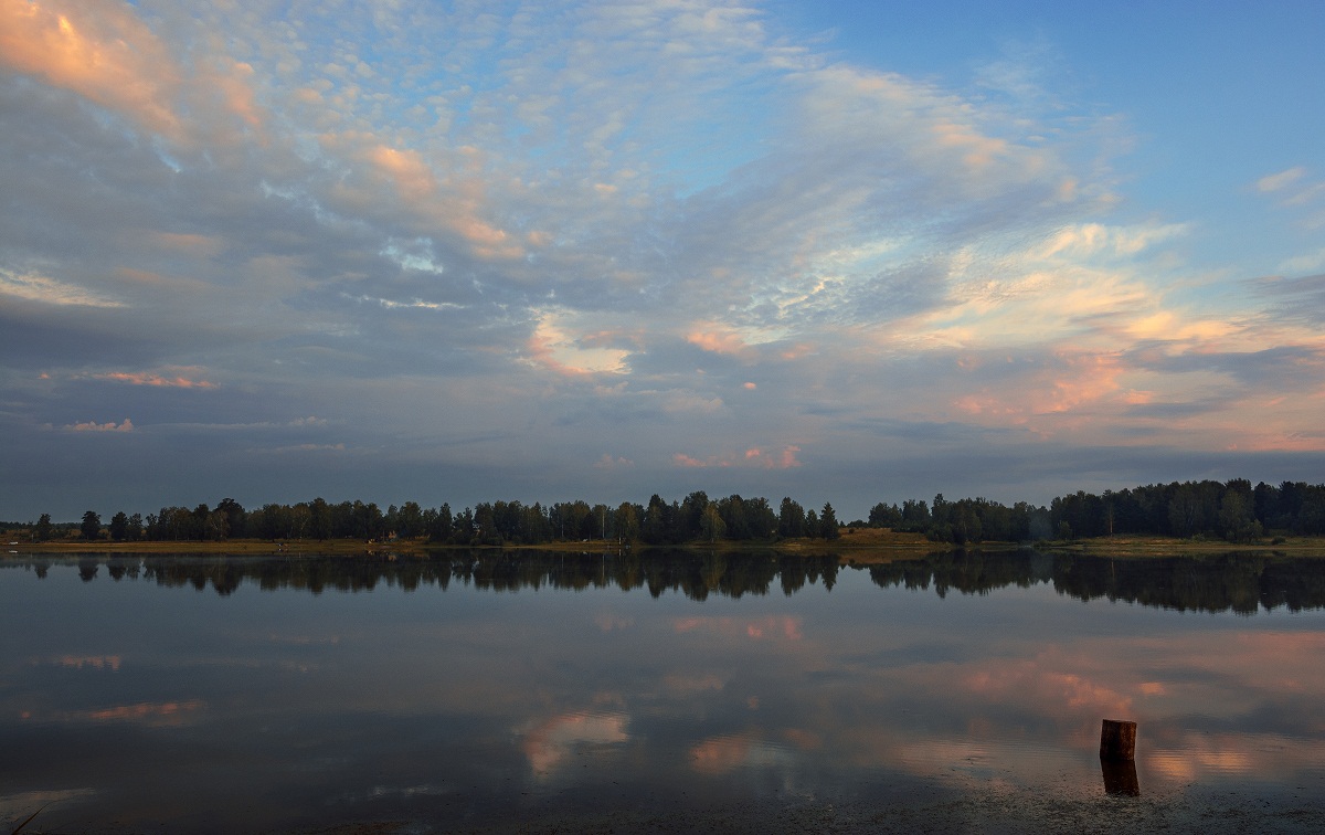 Момент лета!