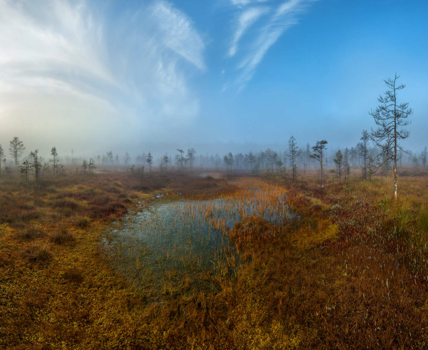 Нежное, тихое утро.
