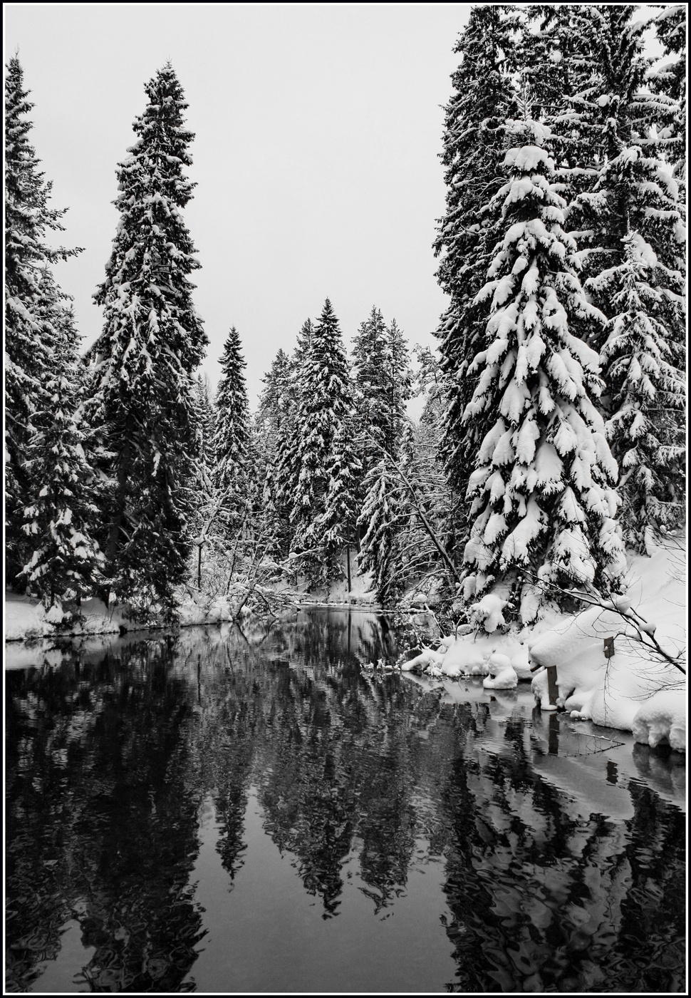 когда природа спит